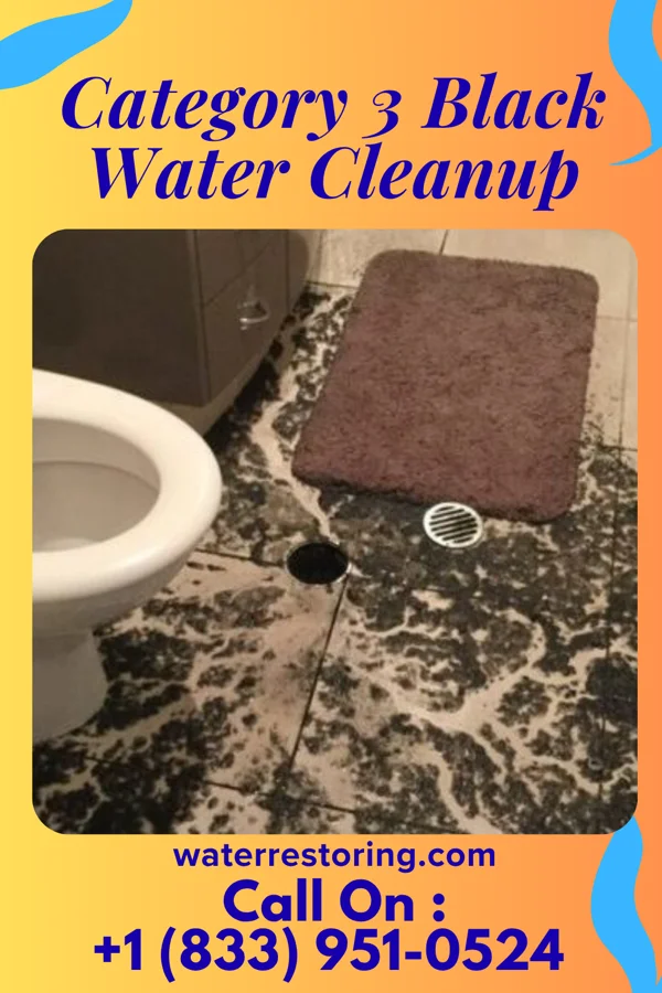 Category 3 Black Water Cleanup in Macclenny, FL